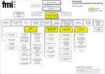 Organigramm Spitäler fmi AG